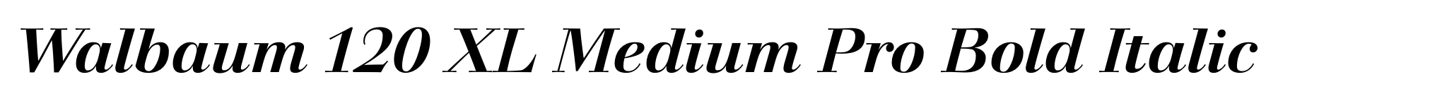Walbaum 120 XL Medium Pro Bold Italic image